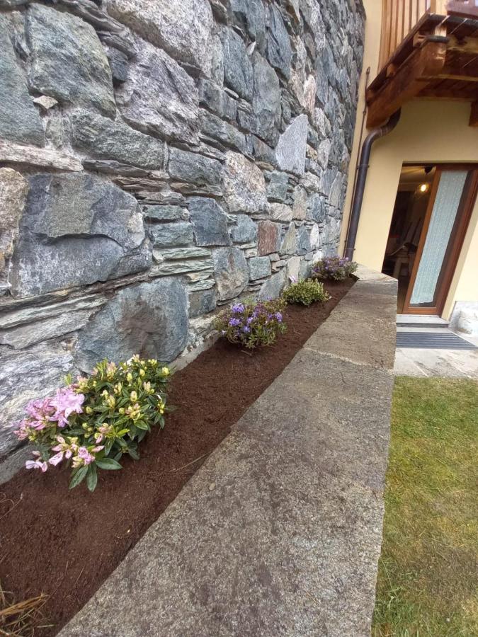 Punta Vittoria Sub 14 - Residence Anderbatt Gressoney - 3 Locali - Cir N 0010 Staval Exterior photo